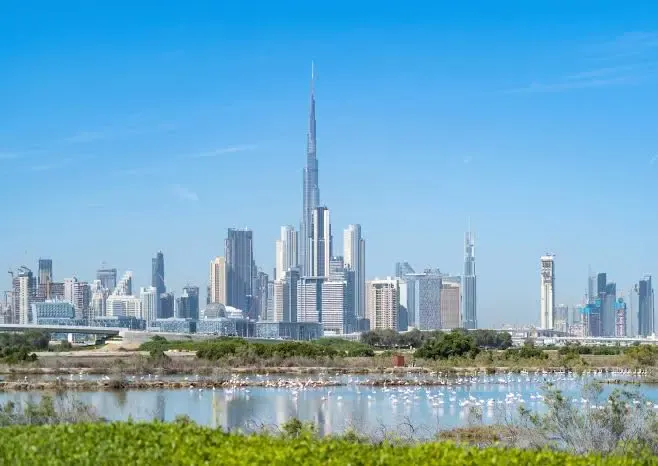 Freehold Property in Dubai: The Complete Guide 