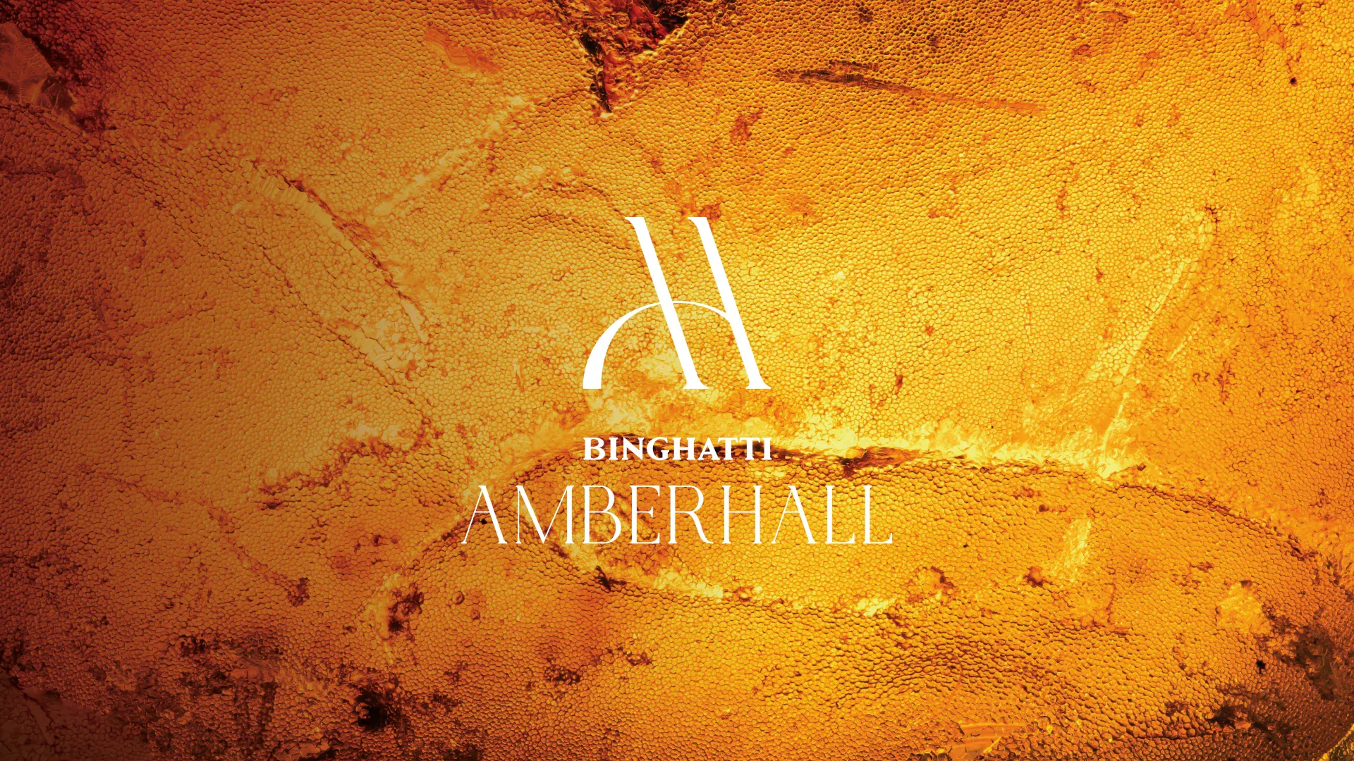 BINGHATTI AMBERHALL brochure