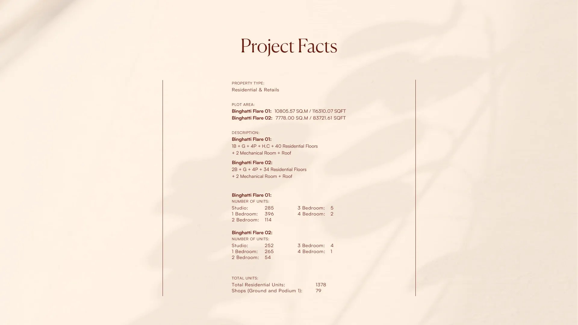 BINGHATTI FLARE 01 project facts
