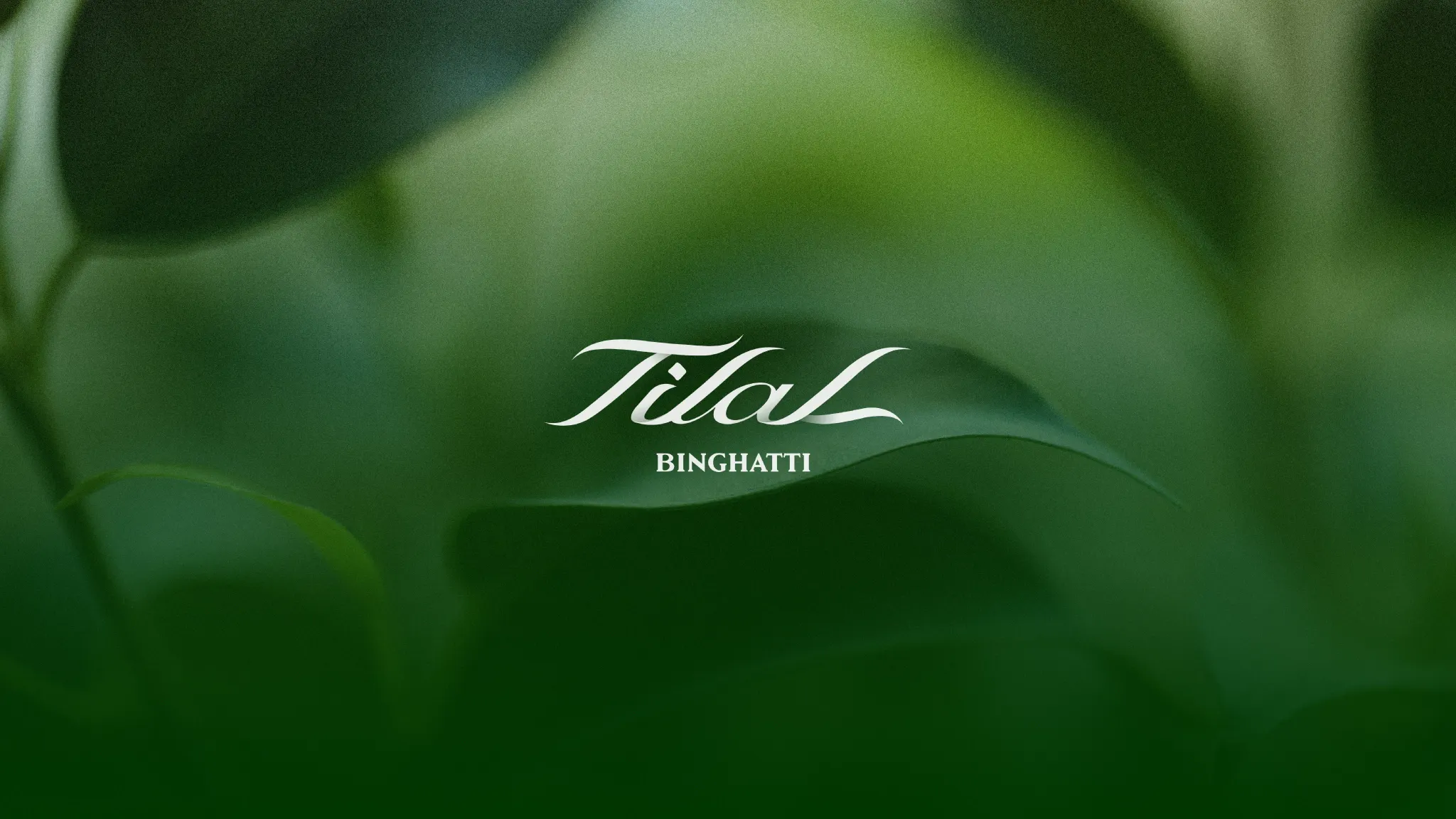 TILAL BINGHATTI brochure