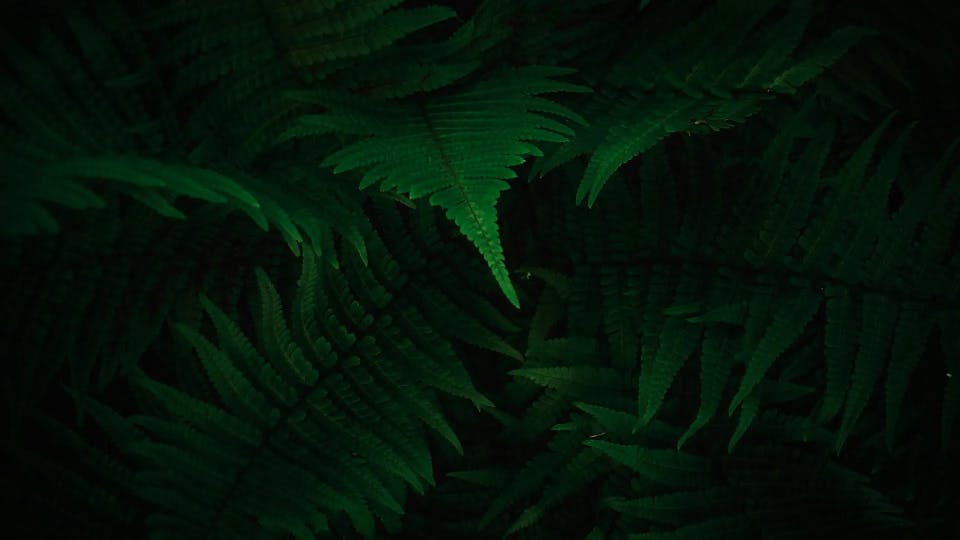 Luxury villas at Binghatti’s first-ever villa community in Dubai